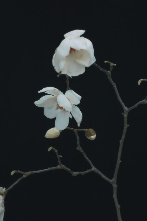 2026 Mid Summer Collection “Abyss” Look 7